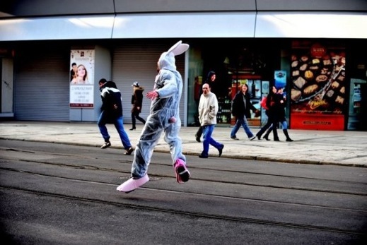 Follow the White Rabbit
